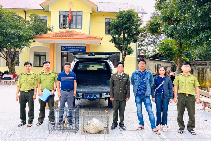 Bàn giao trăn đất và chim ưng quý hiếm cho Trung tâm cứu hộ ảnh 3