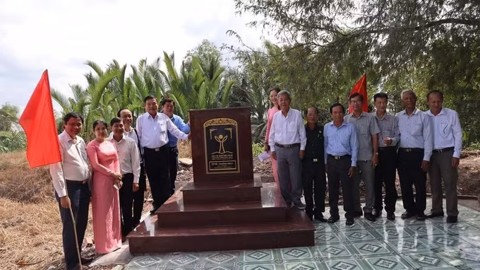 Long An: Cây Me 300 năm tuổi được công nhận là Cây Di sản Việt Nam ảnh 1