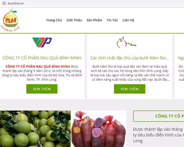 Nông sản Vĩnh Long lên sàn thương mại điện tử với tên miền “.vn” ảnh 1
