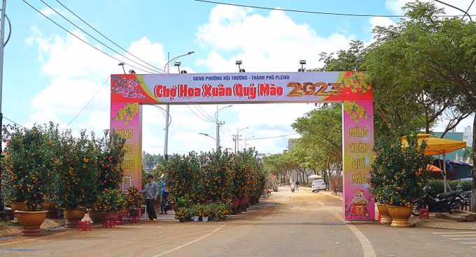 Gia Lai: Rộn ràng chợ hoa phố núi Tết Quý Mão ảnh 1