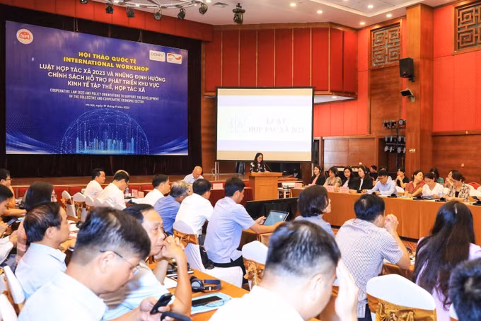 Định hướng chính sách hỗ trợ phát triển kinh tế tập thể ảnh 4
