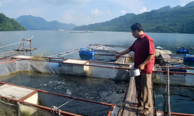 Xây dựng thương hiệu cá sông Đà ảnh 1