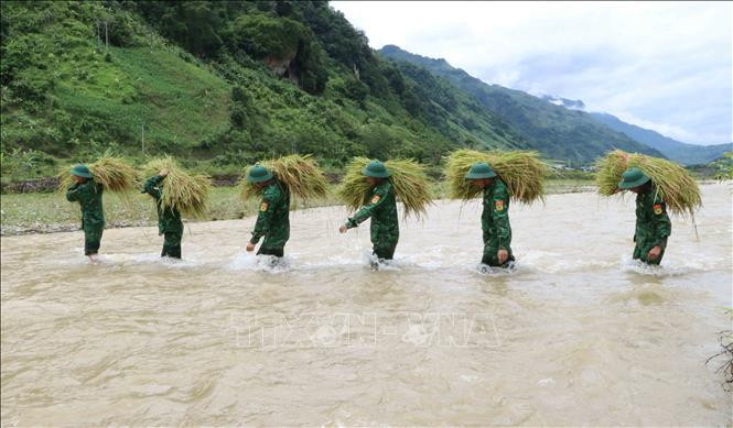 Dù công việc vất vả nhưng các chiến sĩ bộ đội biên phòng vẫn rất vui vẻ khi giúp dân. Ảnh: Nguyễn Oanh -TTXVN Tình đoàn kết quân dân ở khu vực biên giới Lai Châu ảnh 1