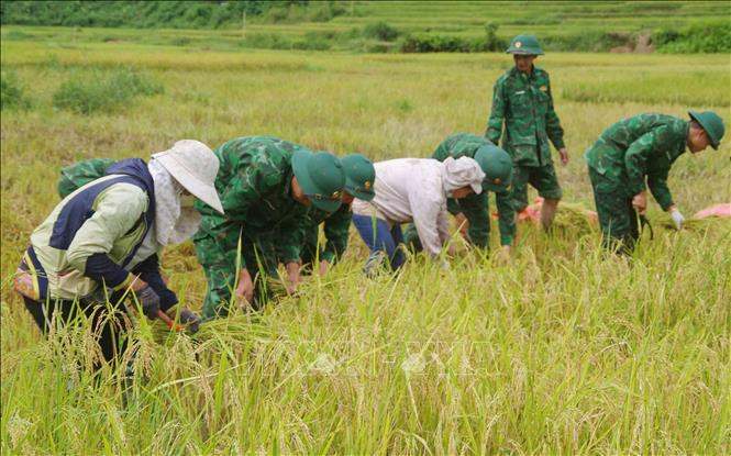 Tình quân dân như cá với nước tại các xã biên giới tỉnh Lai Châu. Ảnh: Nguyễn Oanh -TTXVN Tình đoàn kết quân dân ở khu vực biên giới Lai Châu ảnh 7