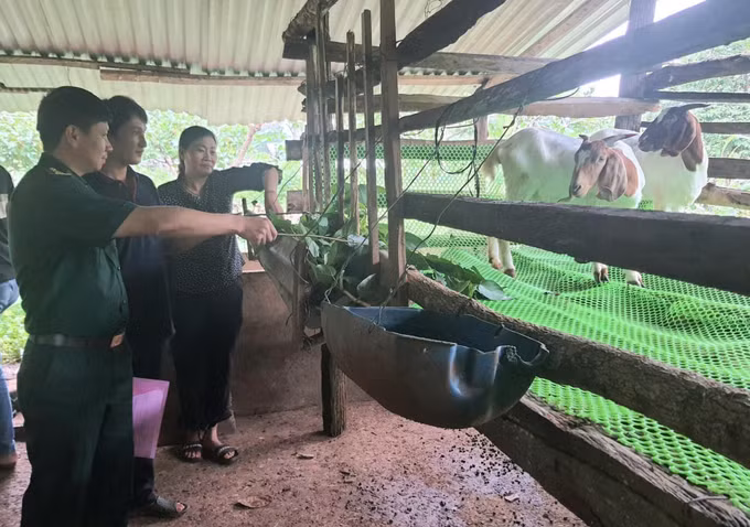 Bước tiến mới trong giảm nghèo bền vững ảnh 3