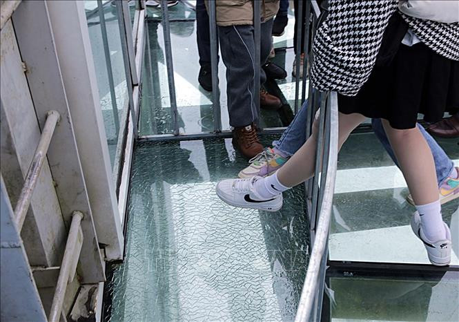 Khu vực miếng kính được cho là chủ đầu tư cố tình làm nứt, vỡ đã được khoanh vùng bảo vệ và luôn có nhân viên túc trực để giới thiệu, nhiều du khách vẫn muốn đặt chân để trải nghiệm. Ảnh: Quý Trung – TTXVN Lai Châu: Yêu cầu thay tấm kính ở Khu du lịch Cầu kính Rồng Mây bị nứt ảnh 1