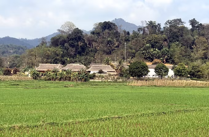 Diện mạo nông thôn mới trên quê hương cách mạng Sơn Dương ảnh 3