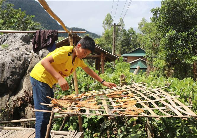 Cháu Quàng Trung Thành (người dân tộc Khơ Mú, ở bản Pa Xa Xá, xã Pa Thơm, huyện Điện Biên, tỉnh Điện Biên) phụ giúp gia đình những công việc hàng ngày. Ảnh: Xuân Tiến- TTXVN Điện Biên chắp cánh ước mơ cho học sinh nghèo dân tộc thiểu số vùng biên ảnh 5