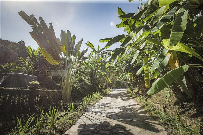 Lối vào Bảo tàng không gian văn hóa Mường như hòa vào với thiên nhiên. Ảnh: Trọng Đạt - TTXVN Bảo tàng không gian văn hóa Mường - Nơi lưu giữ bản sắc dân tộc Mường ảnh 5