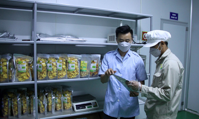 Mô hình sấy củ quả bằng công nghệ sấy lạnh của Công ty Cổ phần Hasafood Nghệ An tạo việc làm thường xuyên cho 8 lao động địa phương. Ảnh: Văn Tý - TTXVN Diện mạo nông thôn mới ở huyện miền núi Quỳ Hợp, Nghệ An ảnh 4