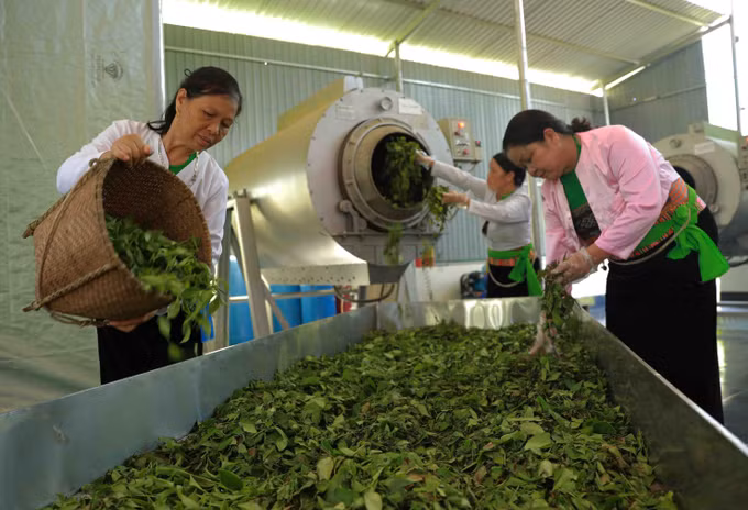 Đưa sản phẩm OCOP Phú Thọ lên các nền tảng số ảnh 1