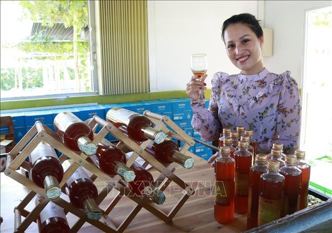Khách du lịch thưởng thức vang nho sản xuất tại trang trại nho Ba Mọi, xã Phước Thuận, huyện Ninh Phước. Ảnh: Nguyễn Thành - TTXVN Ninh Thuận đa dạng các sản phẩm chế biến sâu có giá trị gia tăng cao ảnh 1