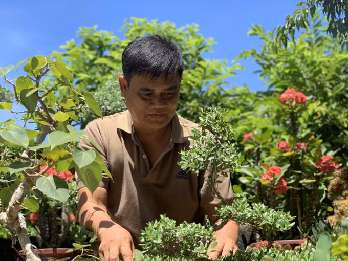 Vất vả mưu sinh nghề lặn biển ở Lý Sơn ảnh 1