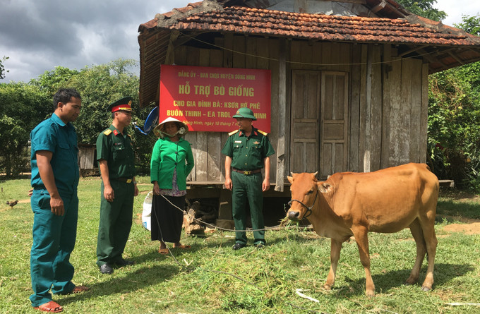 Ban Chỉ huy Quân sự huyện Sông Hinh triển khai chương trình tặng bò giống cho đồng bào dân tộc thiểu số xuyên suốt những năm qua, góp phần cùng địa phương giảm nghèo bền vững. Ảnh: TTXVN phát Bên lề Kỳ họp thứ 6, Quốc hội khóa XV: Có giải pháp toàn diện, lâu dài cho giảm nghèo bền vững ảnh 1