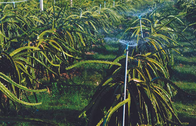 Phát triển kinh tế vùng đồng bào dân tộc thiểu số và miền núi (Bài 1) ảnh 2