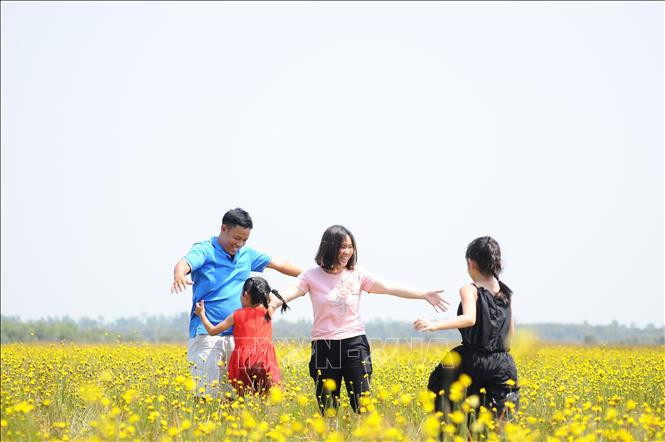 Du khách chụp ảnh với hoa hoàng đầu ấn tại Vườn Quốc gia Tràm Chim. Ảnh: Nhựt An - TTXVN Đồng Tháp: Khu Du lịch Tràm Chim mở tour tham quan hoa Hoàng Đầu Ấn ảnh 1