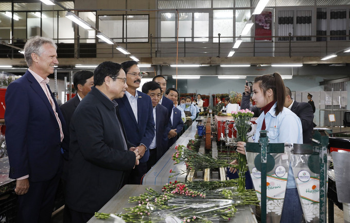 Thủ tướng Phạm Minh Chính thăm Công ty trồng hoa Dalat Hasfarm. Ảnh: Dương Giang-TTXVN Thủ tướng Phạm Minh Chính: Đưa Lâm Đồng trở thành động lực tăng trưởng của Tây Nguyên và cả nước ảnh 5