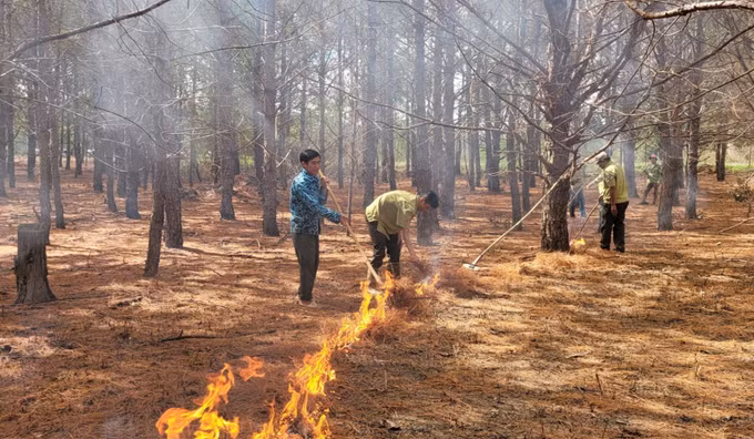 Gia Lai: Nâng cao trách nhiệm cộng đồng trong phòng, chống cháy rừng mùa khô ảnh 4