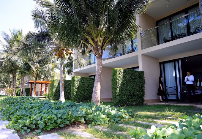 Bà Rịa-Vũng Tàu: Phát triển du lịch sinh thái gắn với bảo vệ môi trường ảnh 3