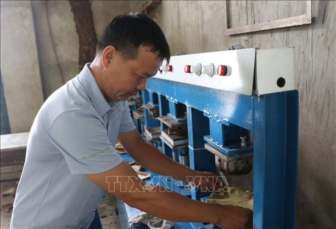 Anh Nguyễn Văn Tuyến ép lá nho biển vào khuôn tạo hình chiếc đĩa. Ảnh: Phạm Cường - TTXVN Độc đáo những chiếc đĩa thân thiện với môi trường từ lá nho biển ảnh 4
