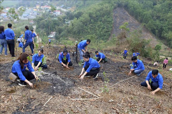 Đoàn viên, thanh niên TTXVN trồng cây hưởng ứng "Tết trồng cây" năm 2021 và chương trình trồng 1 tỷ cây xanh. Ảnh: Tuấn Đức - TTXVN Tháng Thanh niên 2021: Tuổi trẻ Thông tấn xã Việt Nam trao tặng 10.000 cây xanh tại Hòa Bình ảnh 5