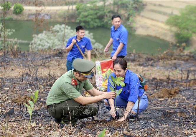 Đoàn viên, thanh niên TTXVN trồng cây hưởng ứng "Tết trồng cây" năm 2021 và chương trình trồng 1 tỷ cây xanh. Ảnh: Tuấn Đức - TTXVN Tháng Thanh niên 2021: Tuổi trẻ Thông tấn xã Việt Nam trao tặng 10.000 cây xanh tại Hòa Bình ảnh 1
