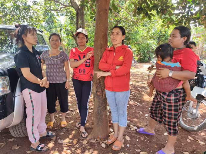 Gia Lai chỉ đạo ngăn chặn, phòng ngừa tình trạng lừa đảo lao động sang nước ngoài làm việc ảnh 3