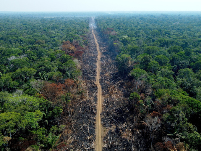 Khoảng rừng Amazon bị chặt phá tại Humaitá, bang Amazonas, Brazil, ngày 16/9/2022. Ảnh: AFP/TTXVN Nguy cơ xuất hiện “bệnh X” do ảnh hưởng của biến đổi khí hậu ảnh 2