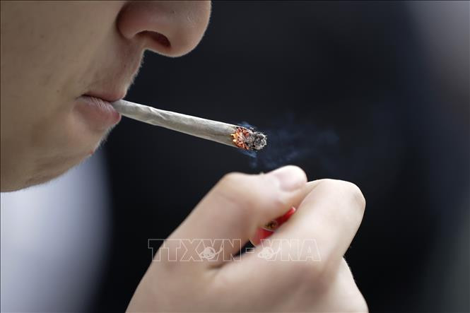 Người dân hút thuốc lá tại Paris, Pháp. Ảnh: AFP/TTXVN Bằng chứng mới nhất về thời điểm nhân loại bắt đầu sử dụng thuốc lá ảnh 1