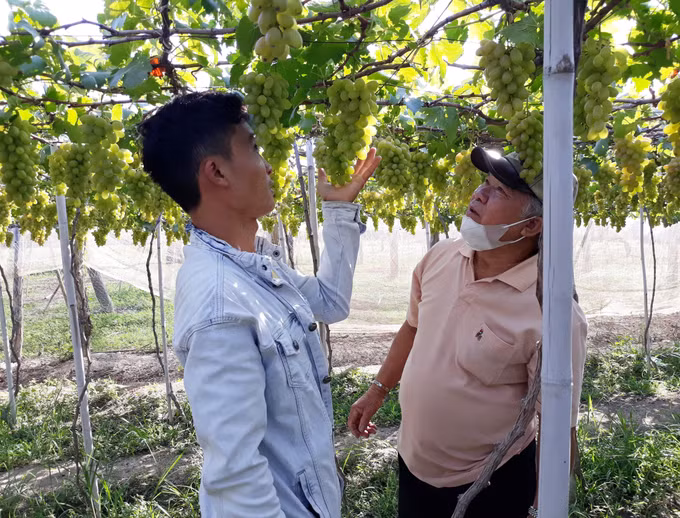 Khám phá vùng đất được mệnh danh “miền sa thảo” độc nhất Đông Nam Á ảnh 3