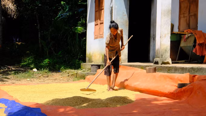 Cuộc sống mới của người Đan Lai ở Nghệ An ảnh 5