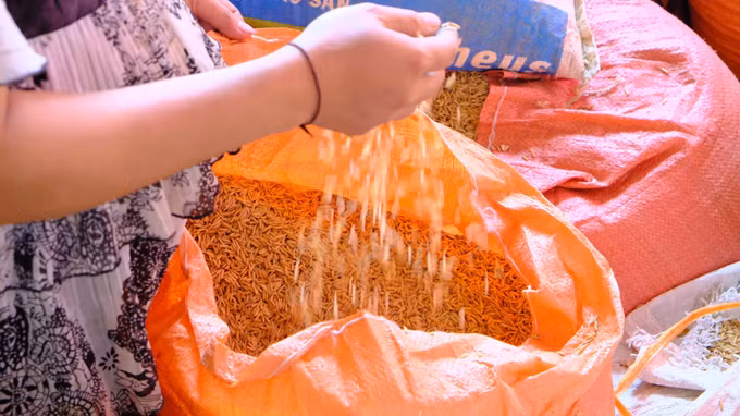 Cuộc sống mới của người Đan Lai ở Nghệ An ảnh 6