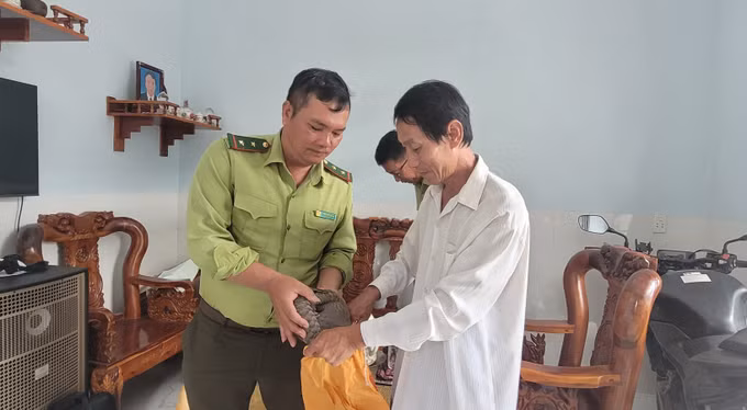 Người dân bàn giao cá thể tê tê cho kiểm lâm​ ở Bà Rịa - Vũng Tàu ảnh 2