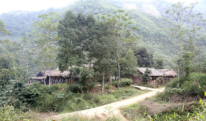 Bản Đồng Măng yên bình nép mình giữa những dãy núi cao. Ảnh: baophutho.vn Đổi thay ở bản người Dao Đồng Măng ảnh 1