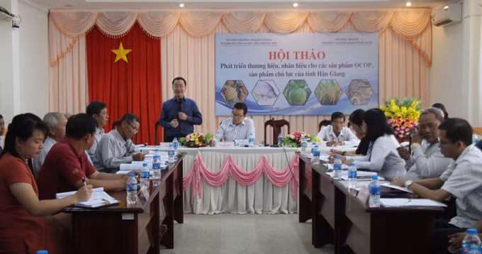 Hậu Giang phát triển thương hiệu cho sản phẩm chủ lực ảnh 3