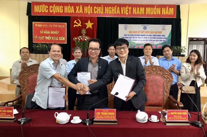 Kỳ vọng biến Gia Lai thành thủ phủ chanh leo tím ảnh 1