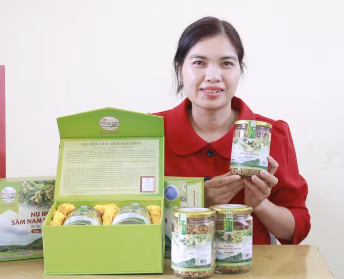 Chị Nguyễn Thị Kim Dung với ước mơ đưa sâm Nam núi Dành trở thành cây trồng của người Việt ảnh 5