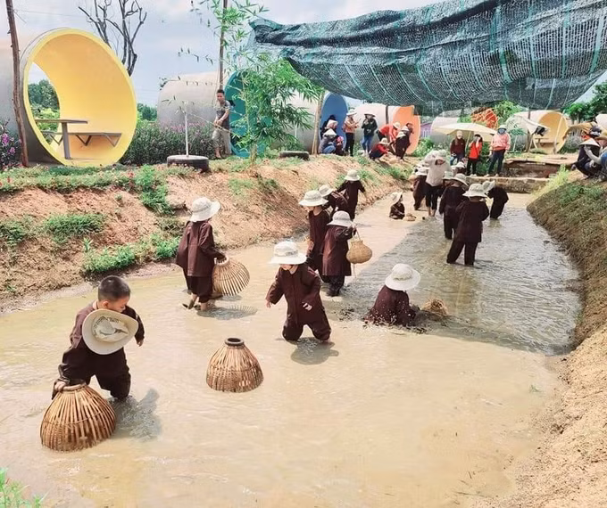 Bà Rịa-Vũng Tàu: Phát triển đa dạng du lịch sinh thái cộng đồng ảnh 1
