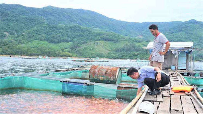 Mô hình nuôi cá lồng bè trên lòng hồ Định Bình, xã Vĩnh Hảo, huyện Vĩnh Thạnh, tỉnh Bình Định. Ảnh: thuysanvietnam.com.vn Nuôi cá lồng bè thu lãi cao ở lòng hồ Định Bình ảnh 1