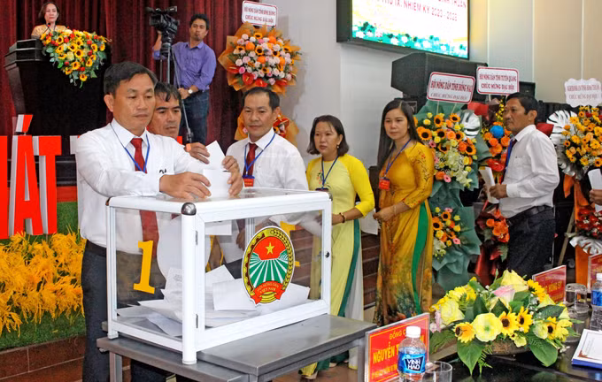 Ông Nguyễn Phú Hoàng tái đắc cử chức vụ Chủ tịch Hội nông dân tỉnh Bình Thuận ảnh 2