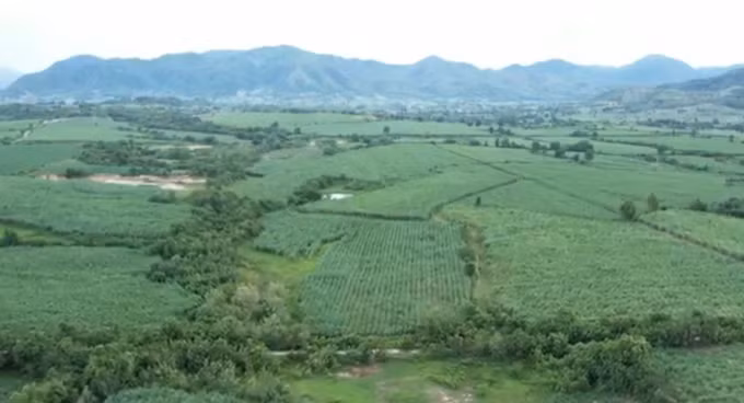 Gia Lai tạo thuận lợi thu hút đầu tư vào nông nghiệp ảnh 1