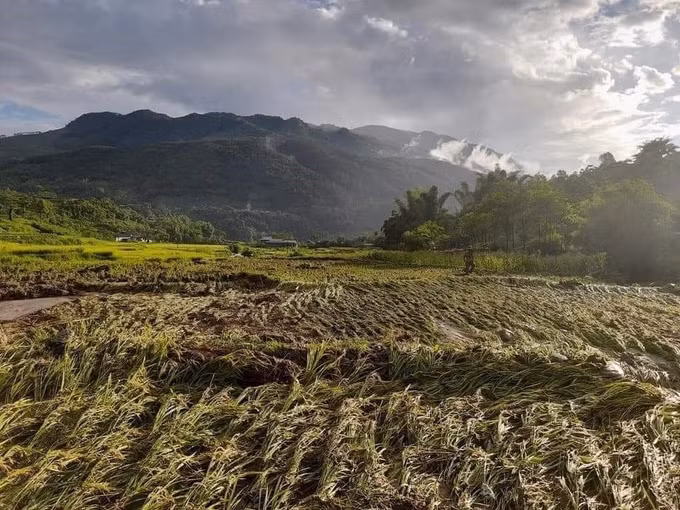 Yên Bái: Mưa lũ, sập trôi 1 nhà, hỏng 3 công trình thủy lợi ở huyện Văn Chấn ảnh 1
