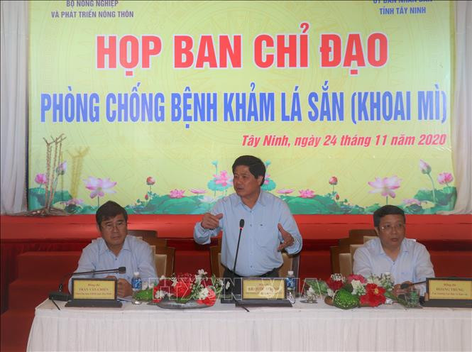 Thứ trưởng Bộ Nông nghiệp và Phát triển nông thôn Lê Quốc Doanh phát biểu tại Hội nghị. Ảnh: Lê Đức Hoảnh-TTXVN Tuyển chọn 2 giống sắn mới kháng bệnh khảm lá ảnh 1