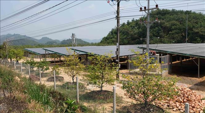 Một công trình điện mặt trời áp mái kết hợp phát triển trang trại nông nghiệp bên dưới trên địa bàn huyện Đạ Tẻh. Ảnh: Nguyễn Dũng – TTXVN Phát triển điện mặt trời ở Tây Nguyên (Bài 1) ảnh 1