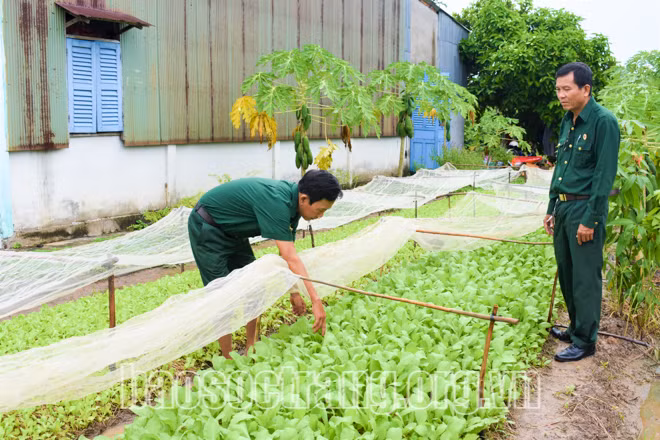 Cựu chiến binh Sóc Trăng giúp nhau giảm nghèo, làm kinh tế giỏi ảnh 1