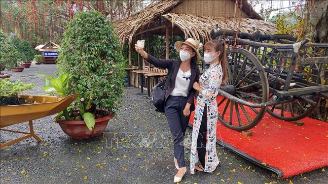 Du khách trải nghiệm du lịch tại "Xứ dừa" Bến Tre. Ảnh: Huỳnh Phúc Hậu - TTXVN “Xứ Dừa” Bến Tre mở cửa đón khách du lịch nội địa ảnh 3