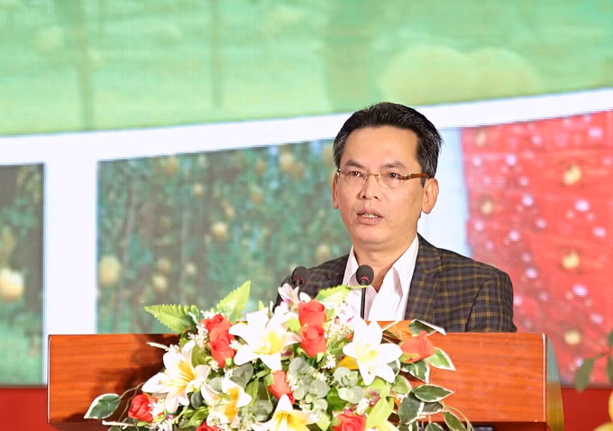 Hoà Bình xuất khẩu 48 tấn bưởi Diễn đầu tiên sang thị trường Hoa Kỳ ảnh 2