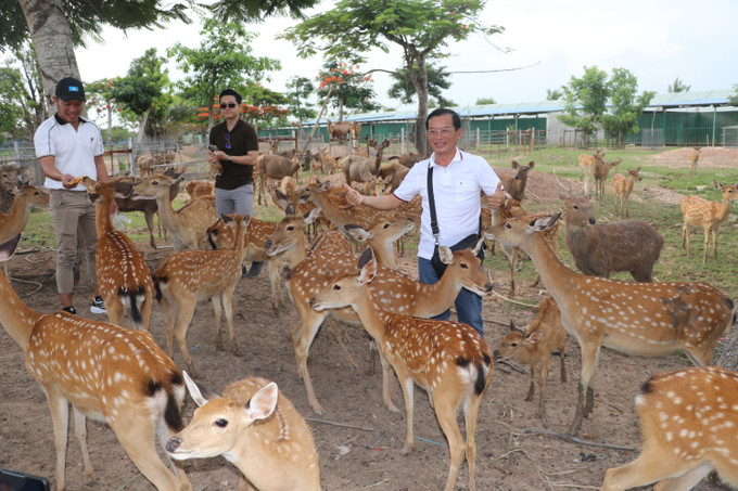 Du khách tham quan vườn thú ở Trung tâm Nghiên cứu Bảo tồn và Phát triển Dược liệu Đồng Tháp Mười của tỉnh Long An. Ảnh: Đức Hạnh - TTXVN Phát triển bền vững du lịch vùng Đồng Tháp Mười (Bài 1) ảnh 2