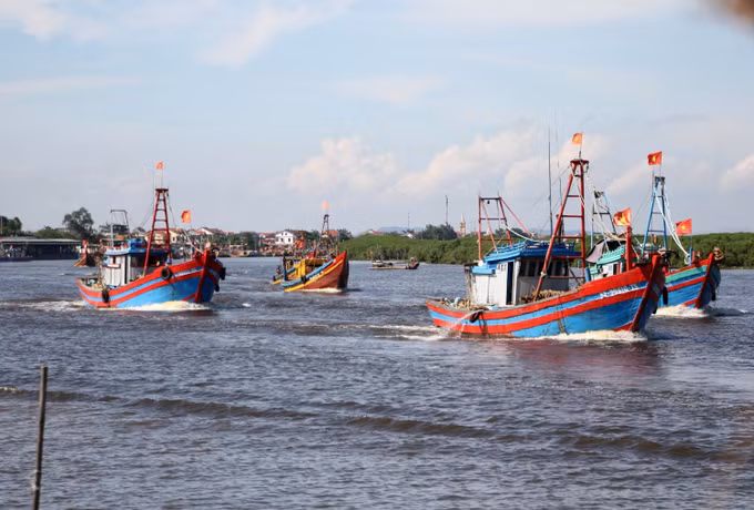 Nghệ An nỗ lực phòng, chống khai thác hải sản bất hợp pháp ảnh 1