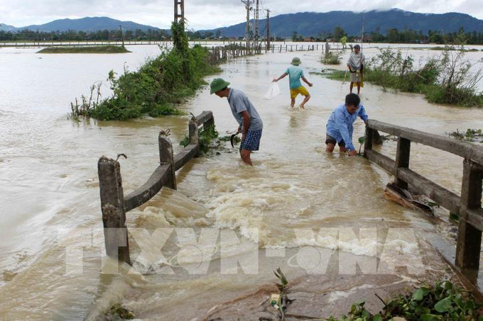 Nhiều diện tích rau màu bị thiệt hại do lũ. Ảnh: Thanh Tùng - TTXVN Thủ tướng chỉ đạo xuất cấp hạt giống hỗ trợ 4 tỉnh bị thiệt hại do thiên tai ảnh 1